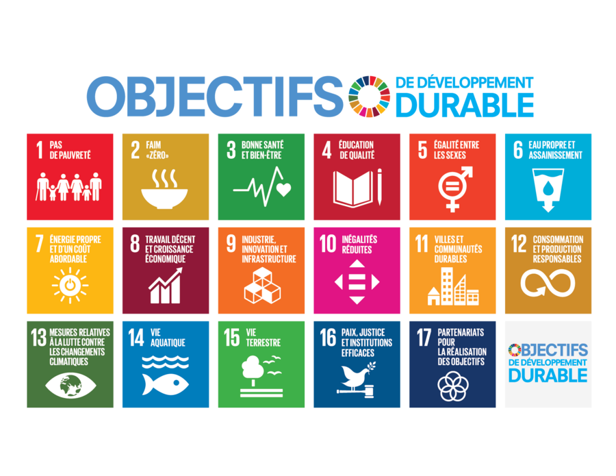 Que sont les objectifs de développement durable?