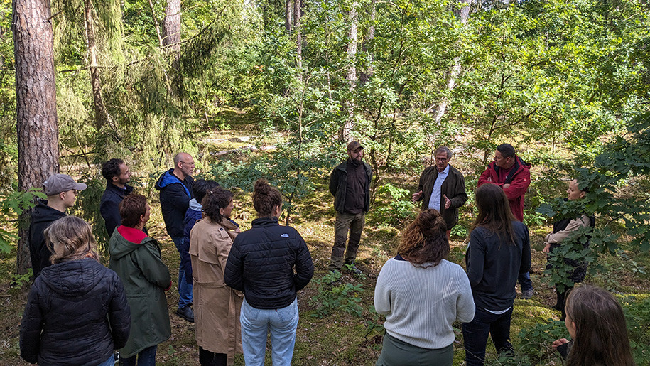 Eine Gruppe von Personen versammelt sich im Mischwald um einen Redner, vermutlich bei einer Führung oder Fortbildung zu Themen wie Klimaanpassung im Wald oder nachhaltige Forstwirtschaft.