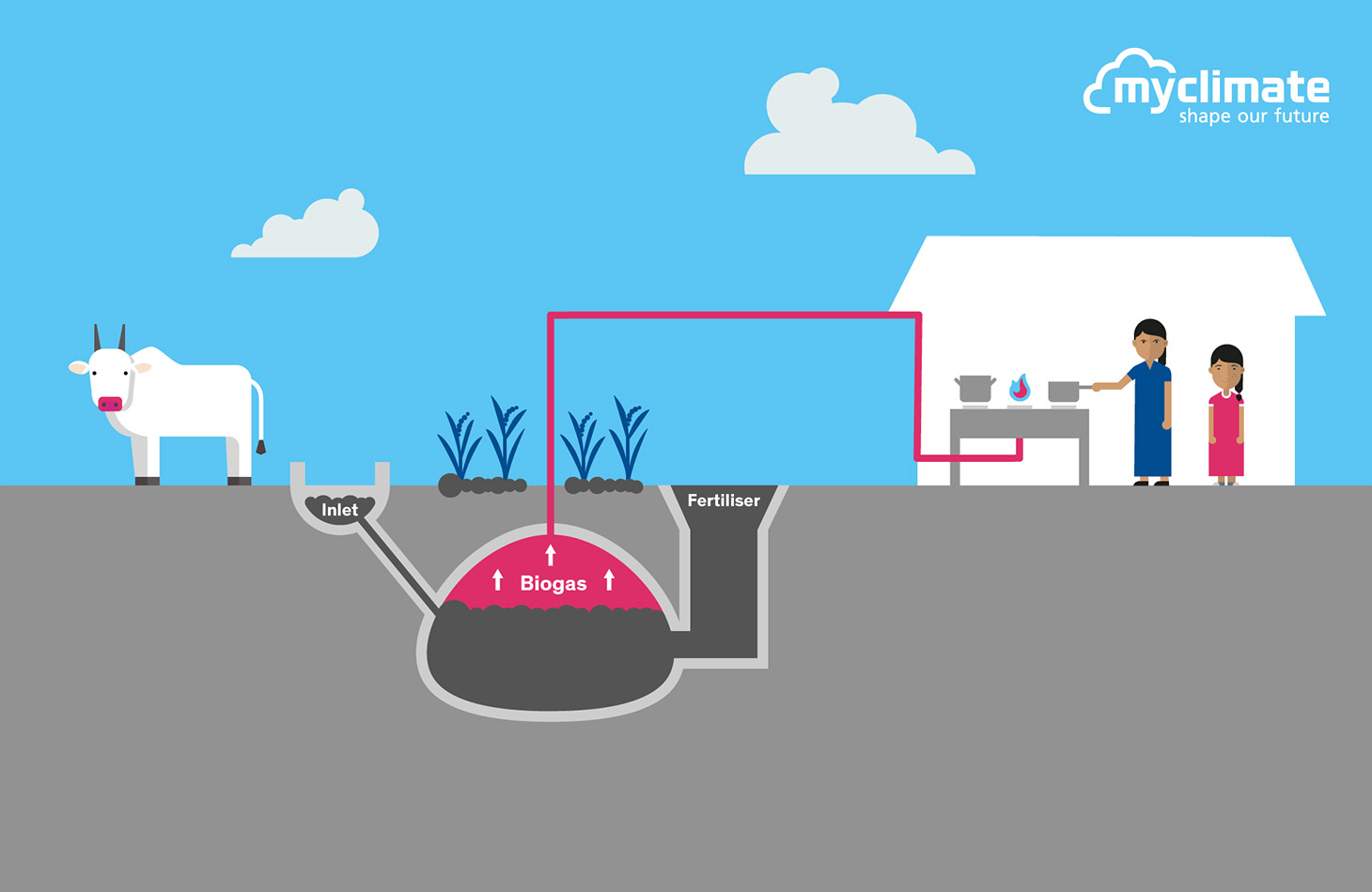 Biogas biogas