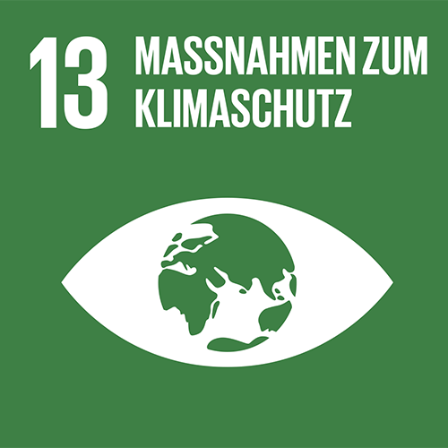  SDG-Icon 13, Massnahmen zum Klimaschutz: Dunkelgrünes Quadrat mit weisser Illustration eines Auges mit Planet Erde in der Iris
