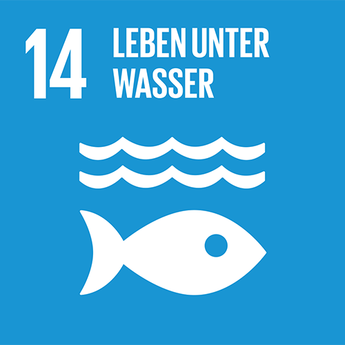  SDG-Icon 14, Leben unter Wasser: Hellblaues Quadrat mit weisser Illustration von Wellen mit einem Fisch darunter