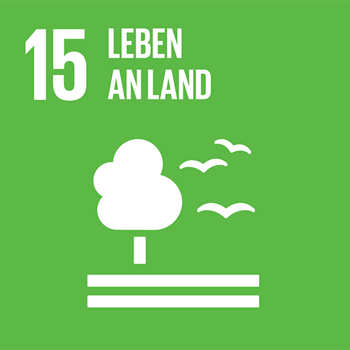 SDG-Icon 15, Leben an Land: Hellgrünes Quadrat mit weisser Illustration eines Baums mit fliegenden Vögeln daneben 