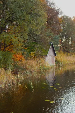 A small nature observation house located in a moorland project in the forest