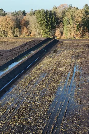 a moorland project in the forest