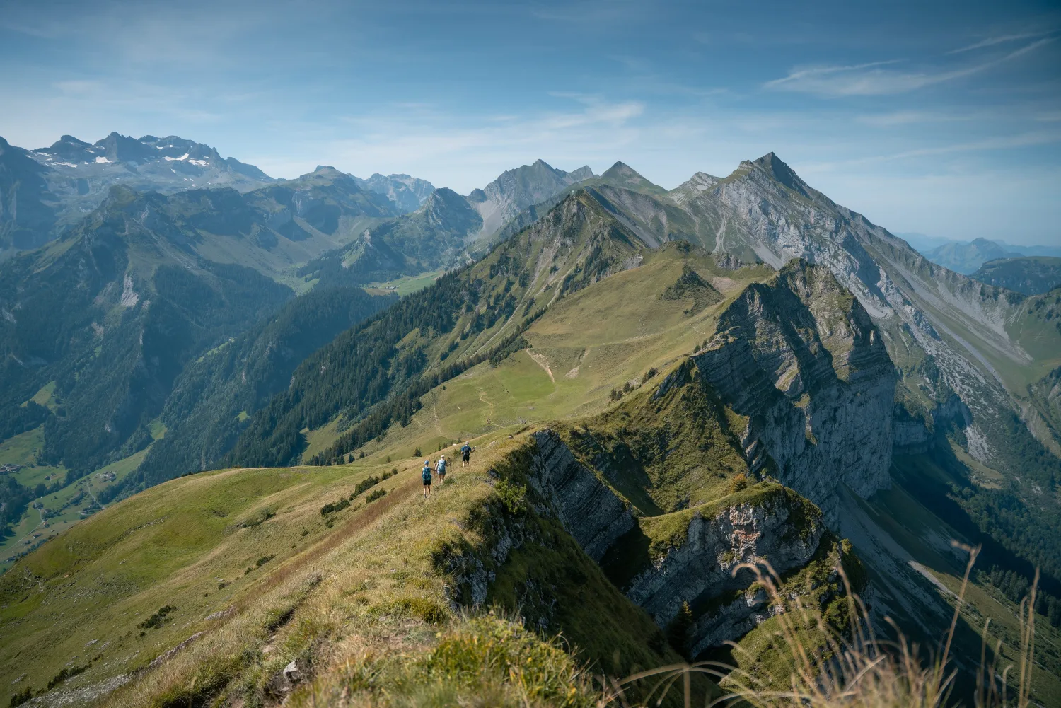 A green mountain landscape in summer with more mountains on the horizon.