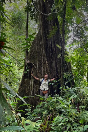 Eine Person steht mit ausgebreiteten Armen vor einem massiven, von Lianen bewachsenen Baum im dichten tropischen Regenwald.